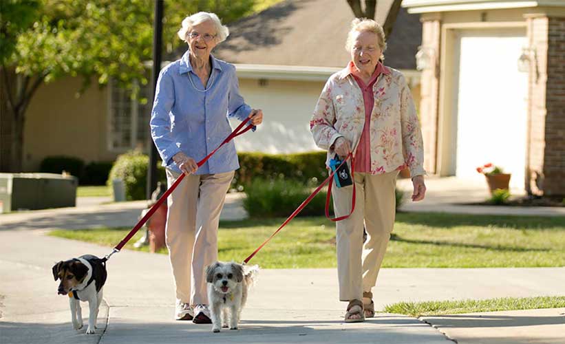 Two women walking dogs at Kingswood Senior Living Located in Kansas City, MO.